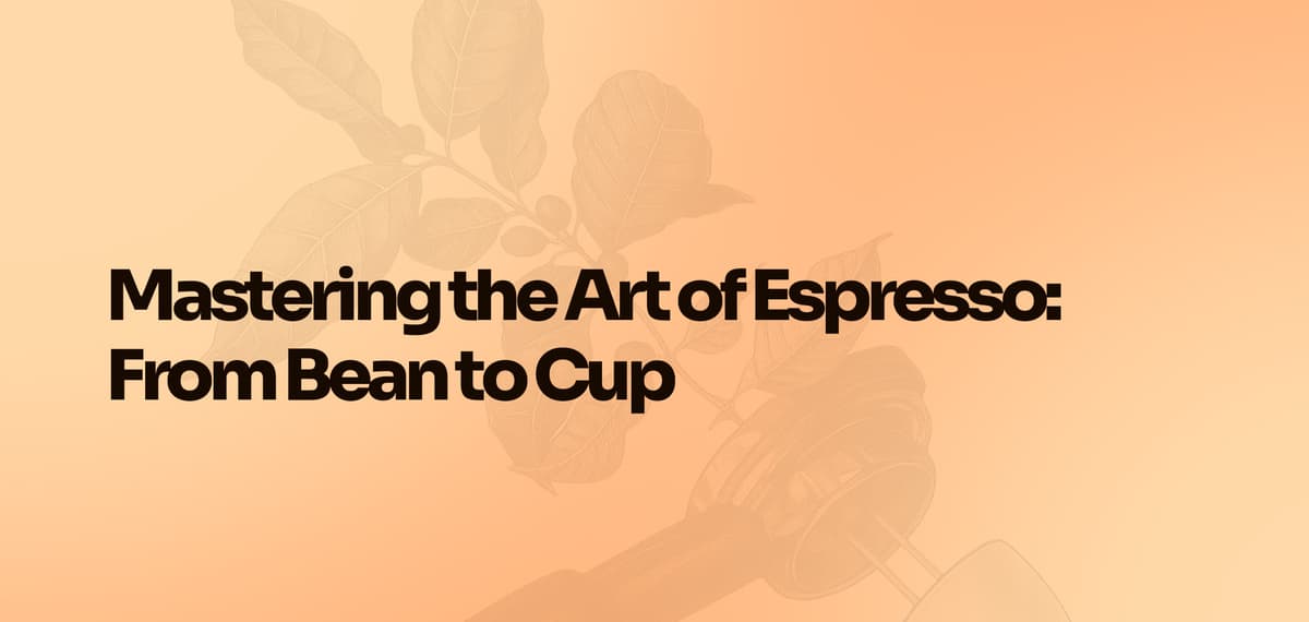 Mastering the Art of Espresso: From Bean to Cup