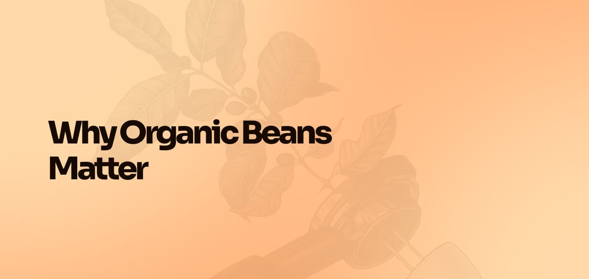 Why Organic Beans Matter