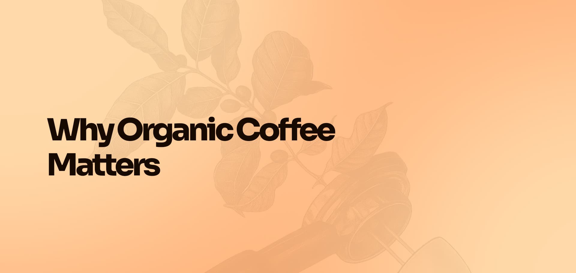 Why Organic Coffee Matters