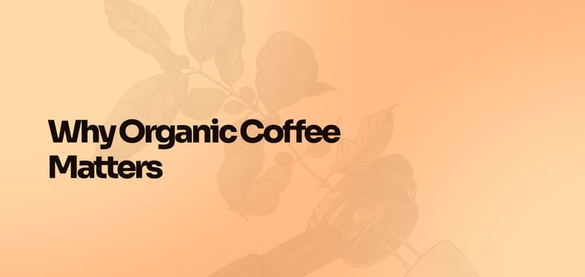 Why Organic Coffee Matters